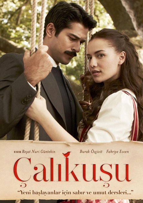 ÇALIKUŞU